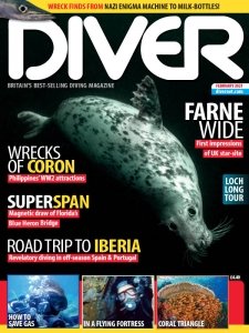 Diver UK - 02.2021