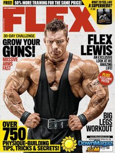 Flex UK - November 2016