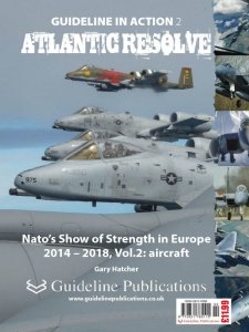 Guideline in Action 2 - Atlantic Resolve 2020