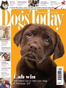 Dogs Today UK - 07.2024