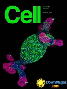 Cell USA - 18 June 2015