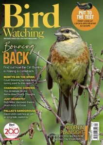 Bird Watching UK - Autumn 2025