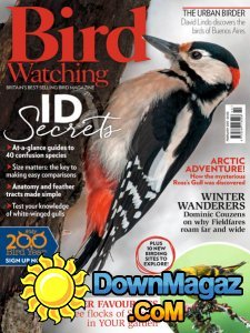 Bird Watching UK - 02.2017