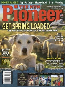 The New Pioneer - Spring 2020