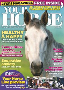 Your Horse - 11.2019