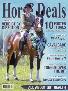 Horse Deals - 10.2025