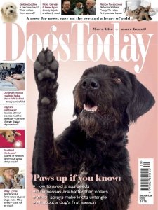 Dogs Today UK - 09.2022