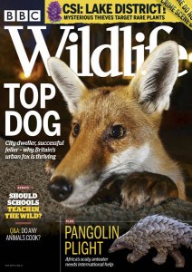 BBC Wildlife - 03.2020