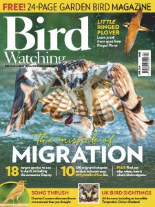 Bird Watching UK - 04.2019