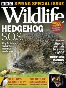 BBC Wildlife - Spring 2021