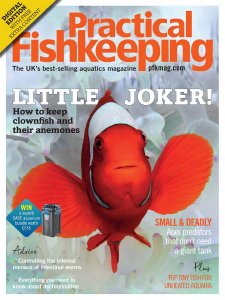 Practical Fishkeeping - 03.2020