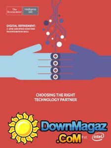 The Economist - Choosing The Right Technology Partner (2017)