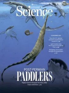 Science - 13.11.2025