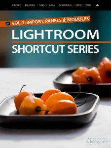 Lightroom Shortcut Series - Import, Panels & Modules