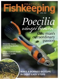 Practical Fishkeeping - 04.2023