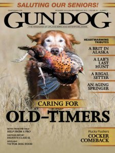 Gun Dog - 12/01 2019