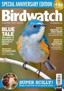 Birdwatch UK - 10.2025