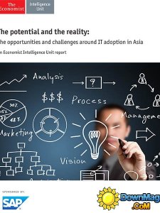 The Economist (Intelligence Unit) - The potential and the reality 2013