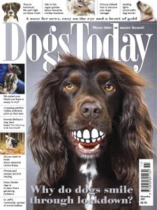 Dogs Today UK - 11.2020