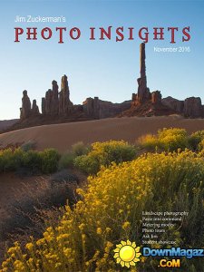 Photo insights - November 2016