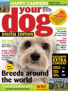 Your Dog - 04.2019