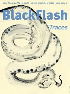 BlackFlash Traces  - Is. 42.1 2025