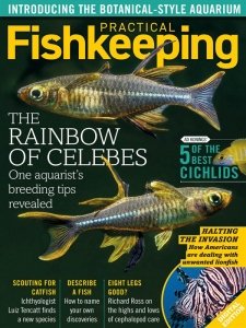 Practical Fishkeeping - 11.2020