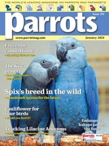 Parrots - 01.2024