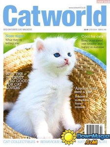 Catworld - July 2016