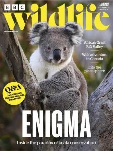 BBC Wildlife - 12.2025