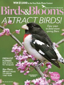 Birds & Blooms - 04/05 2020