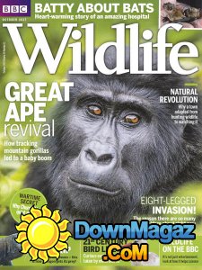 BBC Wildlife - 10.2017