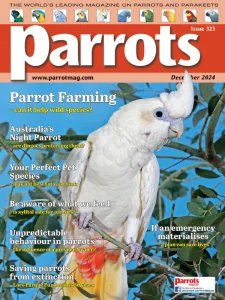 Parrots - 12.2024