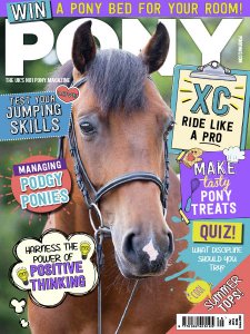 Pony - 05.2018