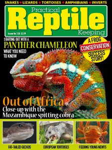 Practical Reptile Keeping - 12.2019