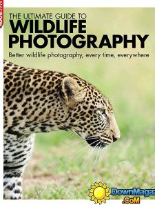 The Ultimate Guide to Wildlife Photography