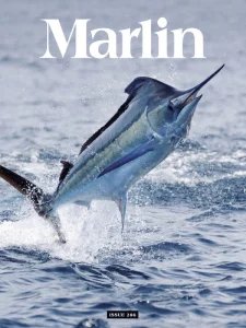 Marlin - 01/02 2025