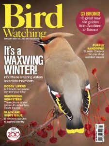 Bird Watching UK - 01.2024