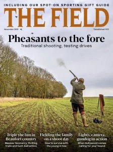 The Field - 11.2025