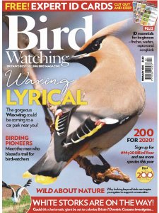 Bird Watching UK - 02.2020