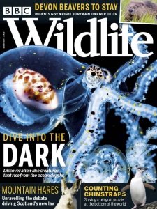 BBC Wildlife - 09.2020