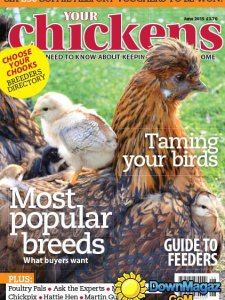 Your Chickens - June 2015