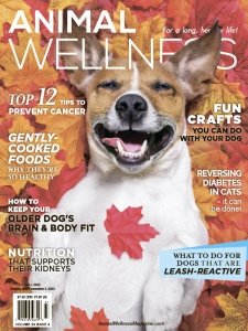 Animal Wellness - Fall 2022