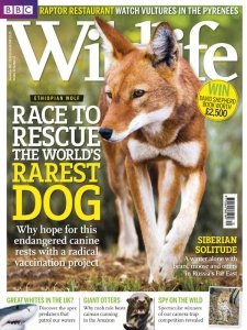 BBC Wildlife - 12.2012