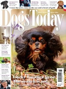 Dogs Today UK - 06.2024