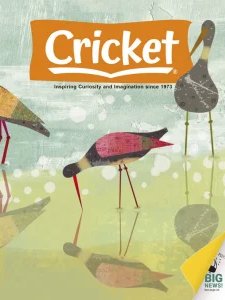 Cricket - 07/08 2025