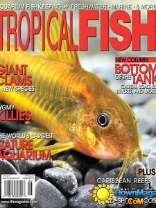 Tropical Fish Hobbyist - June 2015