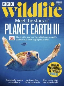 BBC Wildlife - 11.2023