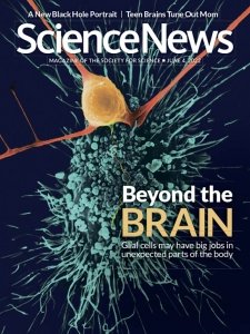 Science News - 06.4.2022
