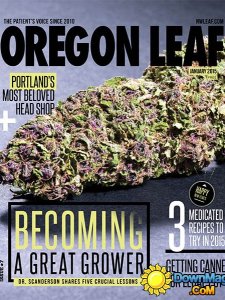 Oregon Leaf - January 2015